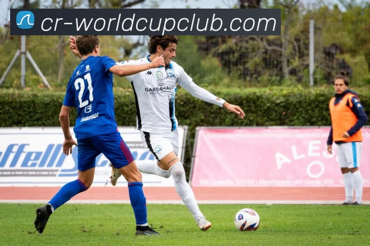 世界杯官方线上平台生态图